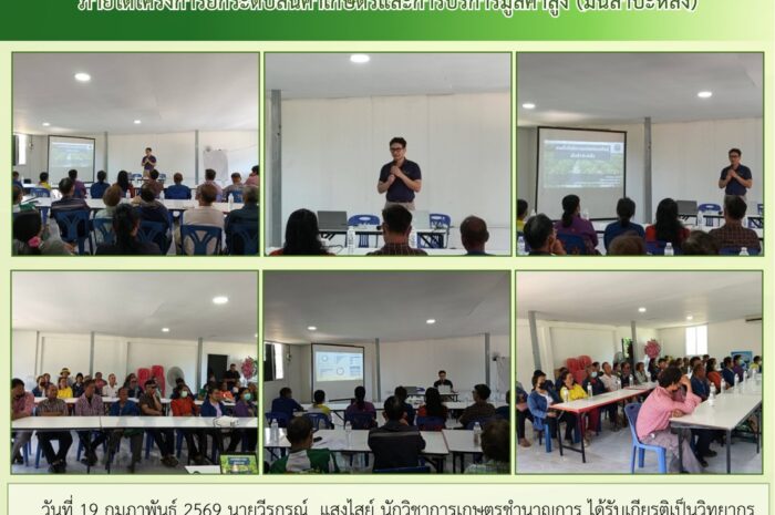 ฉบับที่ 6