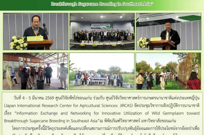 ฉบับที่ 11/2569