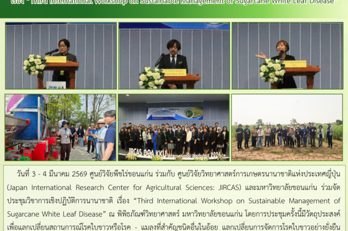 ฉบับที่ 10/2569