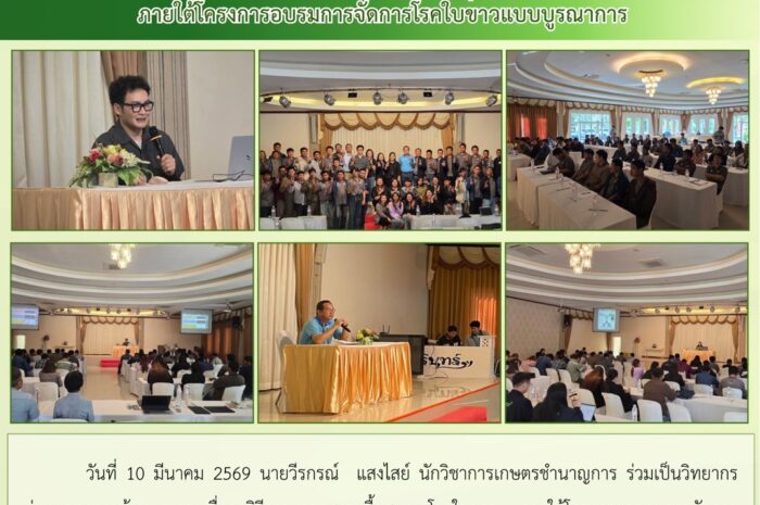 ฉบับที่ 12/2569