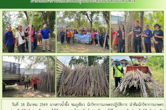 ฉบับที่ 14/2569