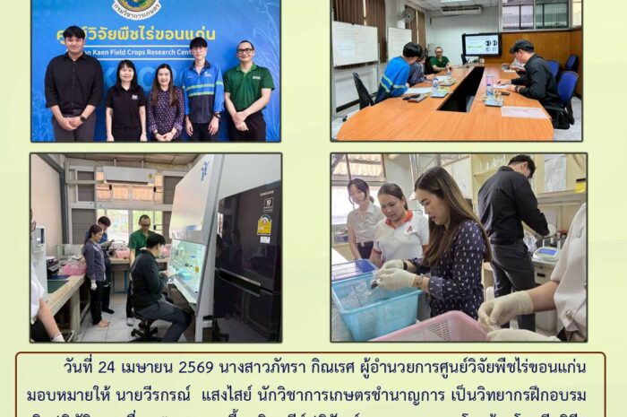 ฉบับที่ 19/2569