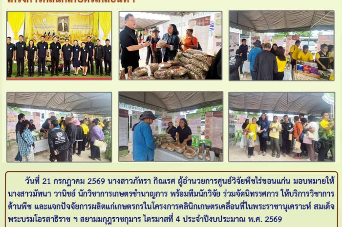 ฉบับที่ 28/2569