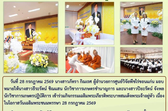 ฉบับที่ 29/2569