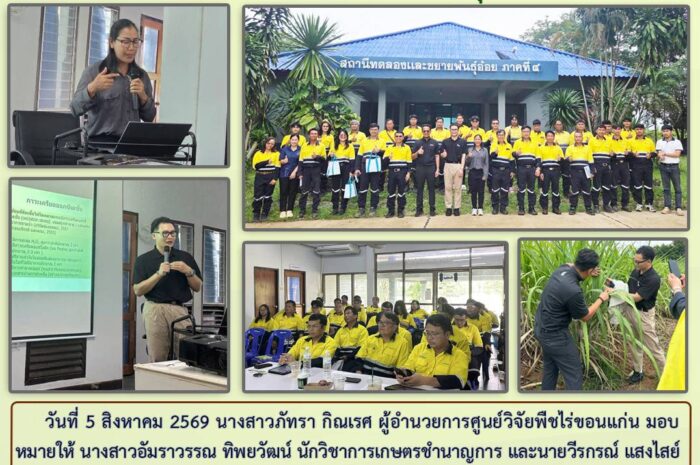 ฉบับที่ 31/2569
