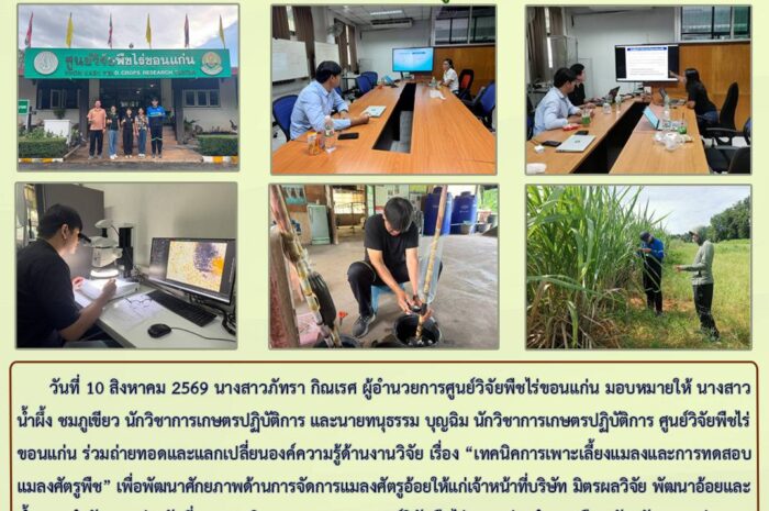 ฉบับที่ 34/2569