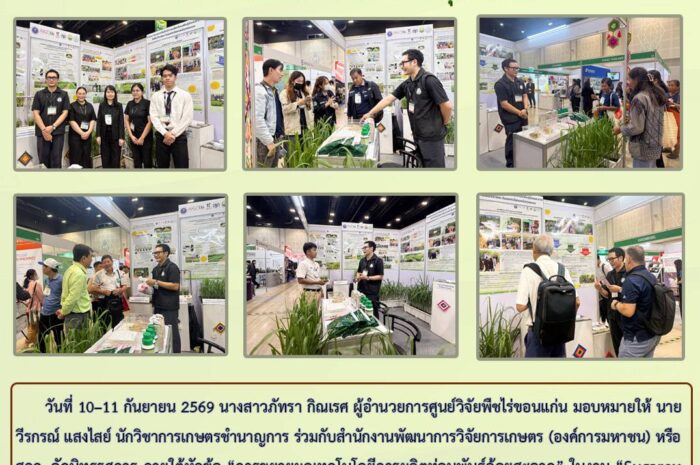 ฉบับที่ 41/2569
