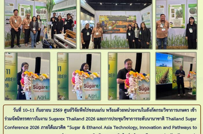 ฉบับที่ 42/2569