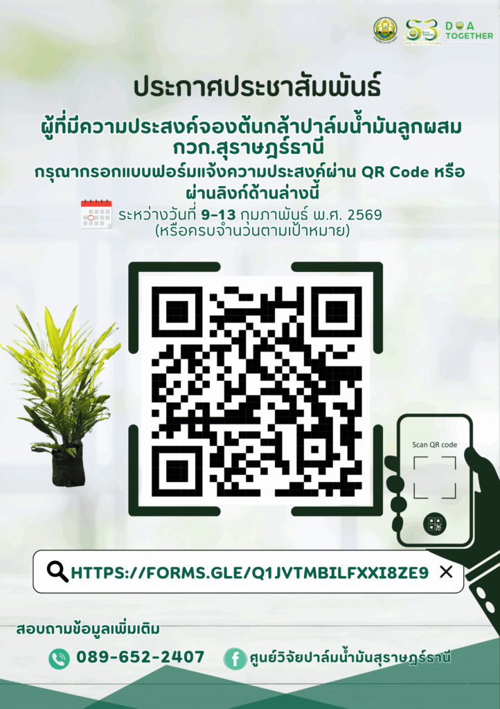 📢 ประกาศประชาสัมพันธ์ ลิงก์สำหรับผู้ที่มีความประสงค์จองต้นกล้าปาล์มน้ำมัน กวก.สุราษฎร์ธานี