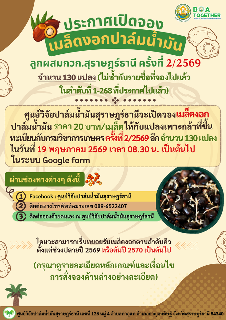 ข่าวประชาสัมพันธ์…การเปิดจองเมล็ดงอกปาล์มน้ำมันลูกผสม กวก.สุราษฎร์ธานี ครั้งที่ 2/2569 จำนวน 130 แปลง