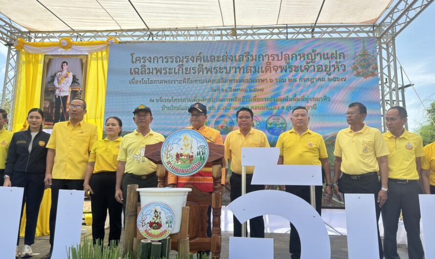 นางสาวจิราลักษณ์ ภูมิไธสง ผู้อำนวยการศูนย์วิจัยพืชไร่อุบลราชธานีมอบหมายให้ นางมลุลี สิทธิษา นักวิชาการเกษตรปฏิบัติการ พร้อมด้วยคณะเจ้าหน้าที่ศูนย์วิจัยพืชไร่อุบลราชธานี ร่วมโครงการ รณรงค์และส่งเสริมการปลูกหญ้าแฝก