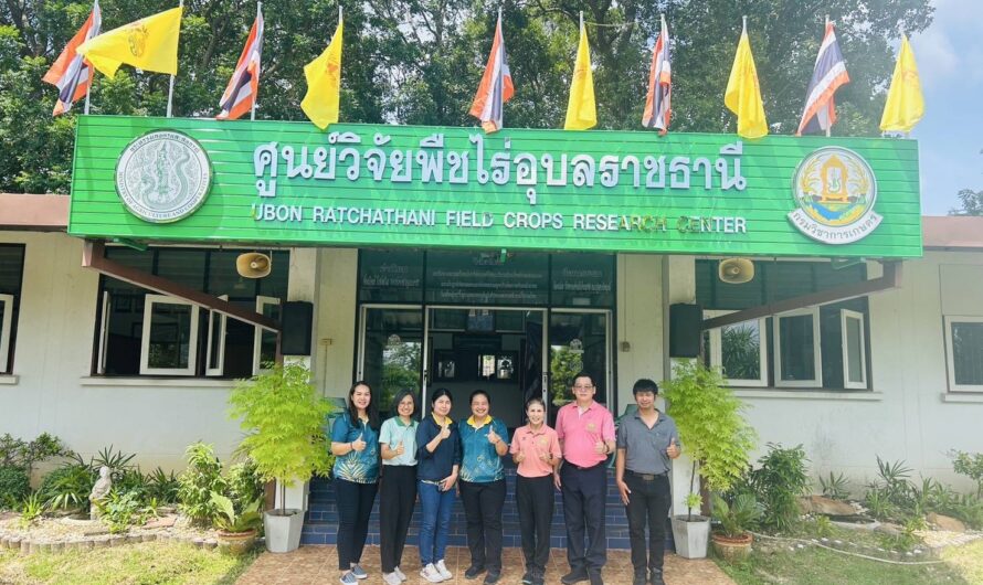 วันที่ 17 มิถุนายน 2568  ศูนย์วิจัยพืชไร่อุบลราชธานี ให้การต้อนรับนางสาวนิภาภรณ์ พรรณรา ผู้อำนวยการกองวิจัยพัฒนาเมล็ดพันธุ์พืชและคณะ ในโอกาสลงพื้นที่ ติดตามความก้าวหน้าการดำเนินงาน โครงการพัฒนาศักยภาพกระบวนการผลิตสินค้าเกษตร (ผลิตพันธุ์พืช) ประจำปีงบประมาณ 2568