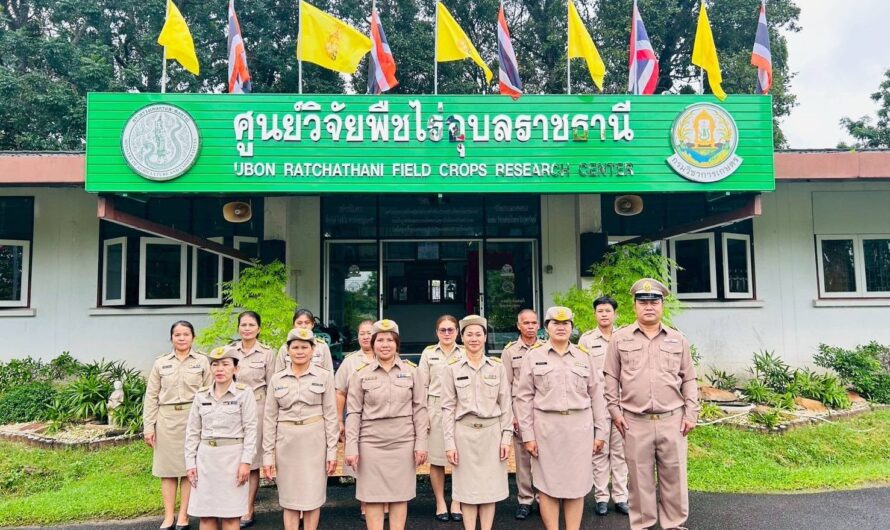 วันที่ 29 กันยายน 2568 นางสาวจิราลักษณ์ ภูมิไธสง ศูนย์วิจัยพืชไร่อุบลราชธานีจัดกิจกรรมเคารพธงชาติและร้องเพลงชาติไทย เวลา 08.00 น. เนื่องใน “วันพระราชทานธงชาติไทย 28 กันยายน (Thai National Flag Day) ประจำปี 2568”