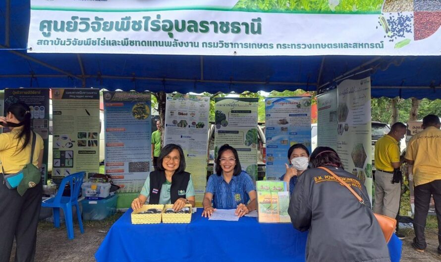 วันที่ 22 กรกฎาคม 2568 ศูนย์วิจัยพืชไร่อุบลราชธานี ร่วมจัดนิทรรศการ และให้บริการคลินิกพืช ในโครงการคลินิกเกษตรเคลื่อนที่ในพระราชานุเคราะห์สมเด็จพระบรมโอรสาธิราชฯ สยามมกุฎราชกุมาร เนื่องในโอกาสวันเฉลิมพระชนมพรรษา