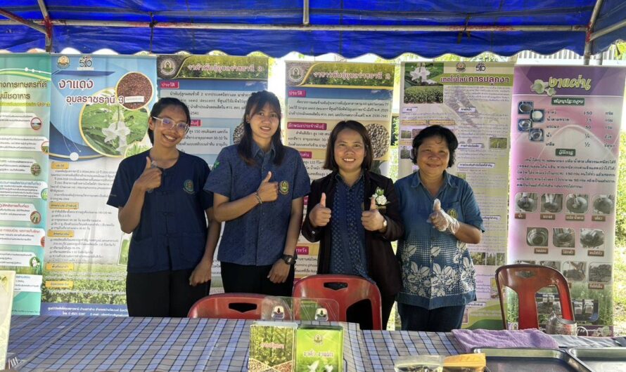 วันที่ 10 กันยายน 2568 ศูนย์วิจัยพืชไร่อุบลราชธานี ร่วมจัดนิทรรศการ “เทคโนโลยีการผลิตงา และสาธิตการแปรรูปผลิตภัณฑ์งาแผ่น เพื่อเพิ่มมูลค่า”