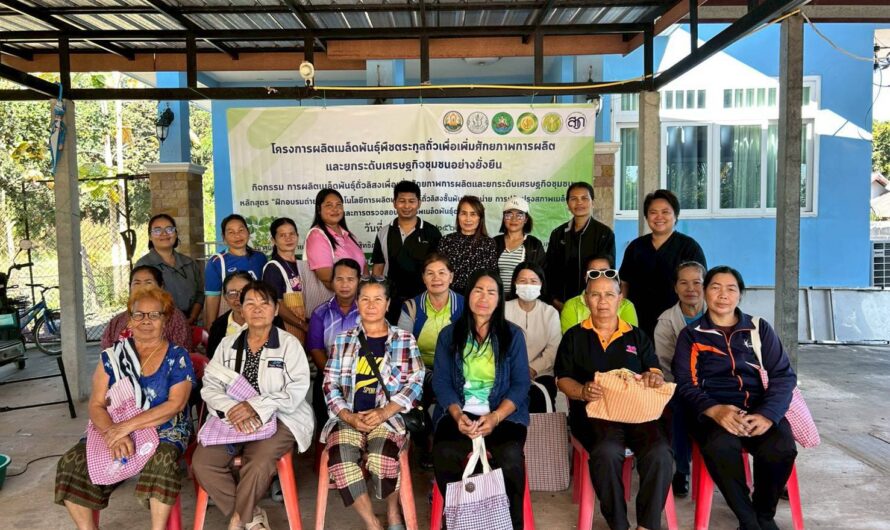 วันที่ 18 ธันวาคม 2568 ศูนย์วิจัยพืชไร่อุบลราชธานี จัดฝึกอบรม หลักสูตร “เทคโนโลยีการผลิตเมล็ดพันธุ์ถั่วลิสงชั้นพันธุ์จำหน่าย การปรับปรุงสภาพเมล็ดพันธุ์ และการตรวจสอบคุณภาพเมล็ดพันธุ์อย่างง่าย”