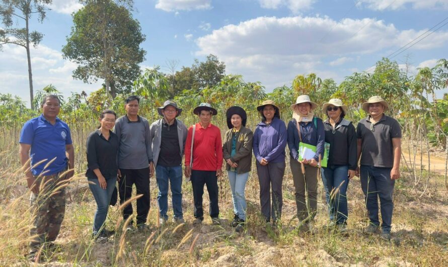 วันที่ 28 มกราคม 2569 ศูนย์วิจัยพืชไร่อุบลราชธานี ให้การต้อนรับ นายสุริพัฒน์ ไทยเทศ ผู้เชี่ยวชาญด้านปรับปรุงพันธุ์พืชไร่ นางวารีย์ ทองมี ผู้อำนวยการกลุ่มวิชาการ และคณะในโอกาสลงพื้นที่ติดตามความก้าวหน้าผลการดำเนินงาน โครงการขับเคลื่อนเทคโนโลยีพร้อมใช้ (Appropriate Technology) ในมันสำปะหลัง