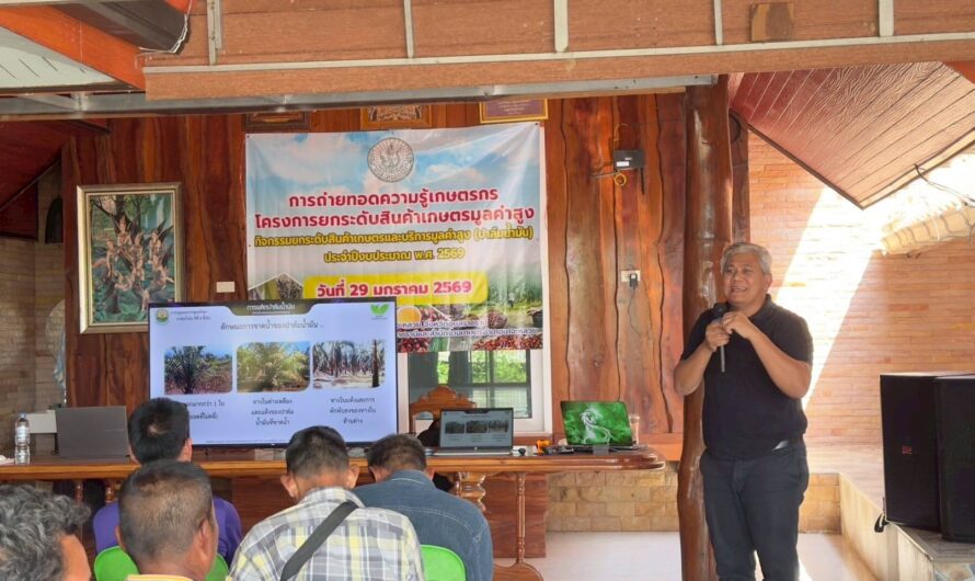วันที่ 29 มกราคม 2569 ศูนย์วิจัยพืชไร่อุบลราชธานี  เป็นวิทยากรอบรมเกษตรกรสมาชิกกลุ่มแปลงใหญ่ปาล์มน้ำมัน เรื่อง “การจัดการสวนปาล์มน้ำมัน และการใช้ปุ๋ยอย่างเหมาะสมตามผลการวิเคราะห์ดินและใบปาล์มน้ำมันควบคู่กับการให้น้ำ เพื่อเพิ่มผลผลิตปาล์มน้ำมันอย่างยั่งยืน”