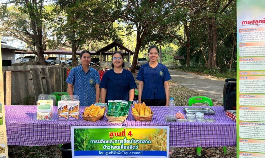 วันที่ 29 มกราคม 2569 ศูนย์วิจัยพืชไร่อุบลราชธานี เป็นวิทยากรอบรมแบบฐานเรียนรู้ เรื่อง “การผลิตและการเชื่อมโยงตลาดข้าวโพดเลี้ยงสัตว์”