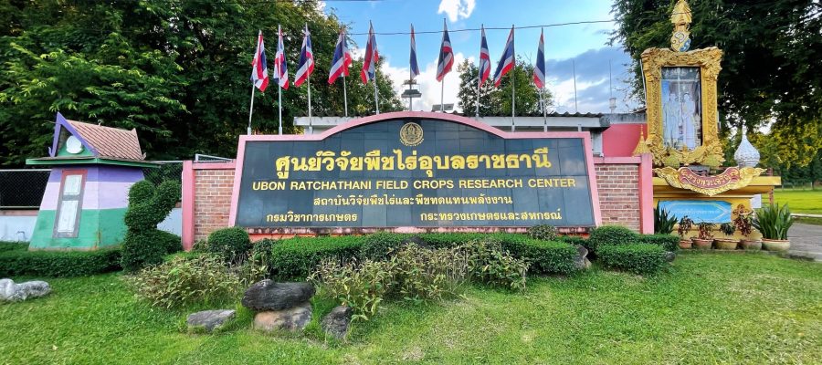ศูนย์วิจัยพืชไร่อุบลราชธานี