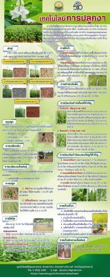 Rollup เทคโนโลยีการปลูกงา 2565 (80x200ซม.)