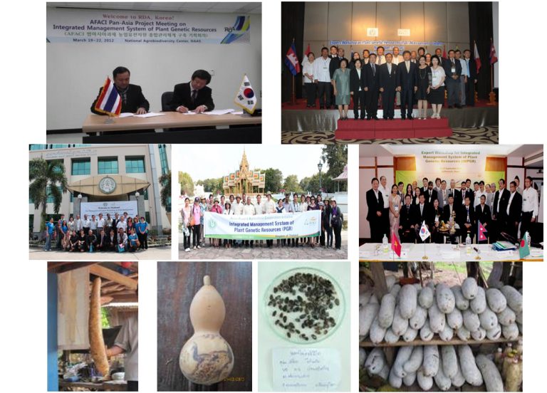 โครงการวิจัยระบบการจัดการผสมผสานของเชื้อพันธุกรรมพืช (Intergrated Management System for Plant Genetic Resources: IMPGR ) โดยหน่วยงาน RDA ของสาธารณรัฐเกาหลีใต้