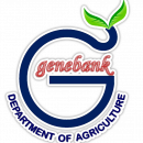 genebank ขอบขาว+เงา