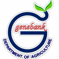 genebank ขอบขาว+เงา