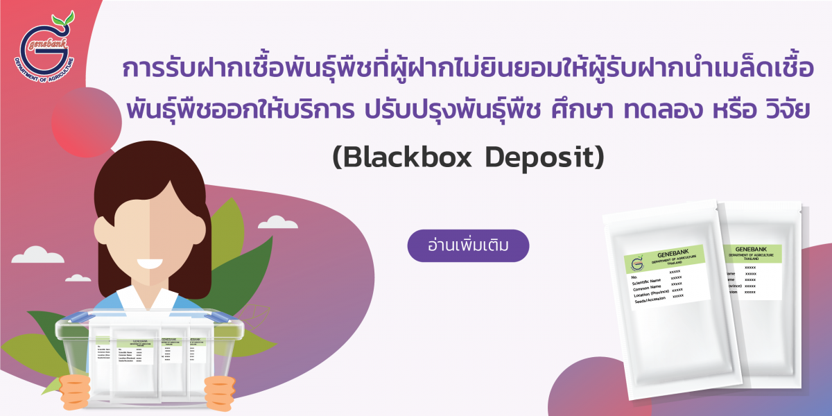 ปกประชาสัมพันธุ์ Blackbox deposit3