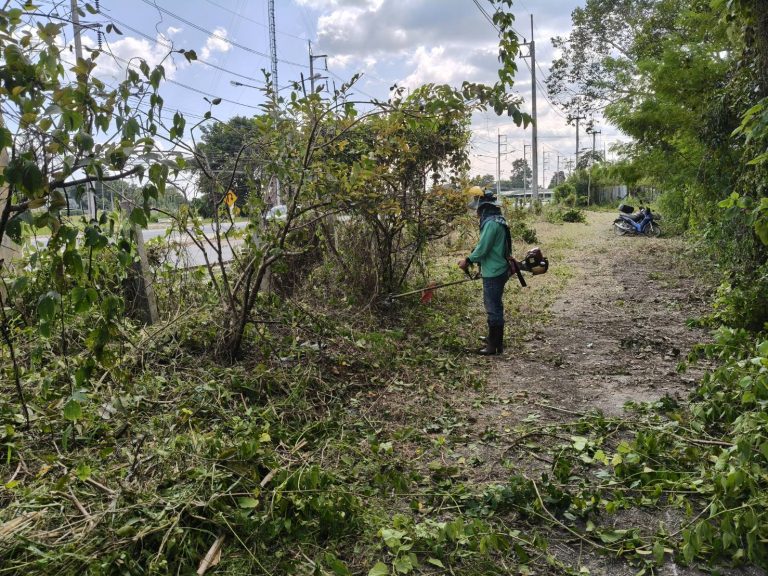ศูนย์วิจัยพืชสวนเชียงราย ได้จัดกิจกรรมจิตอาสาพัฒนา เนื่องในวันปิยมหาราช ประจำปี ๒๕๖๘