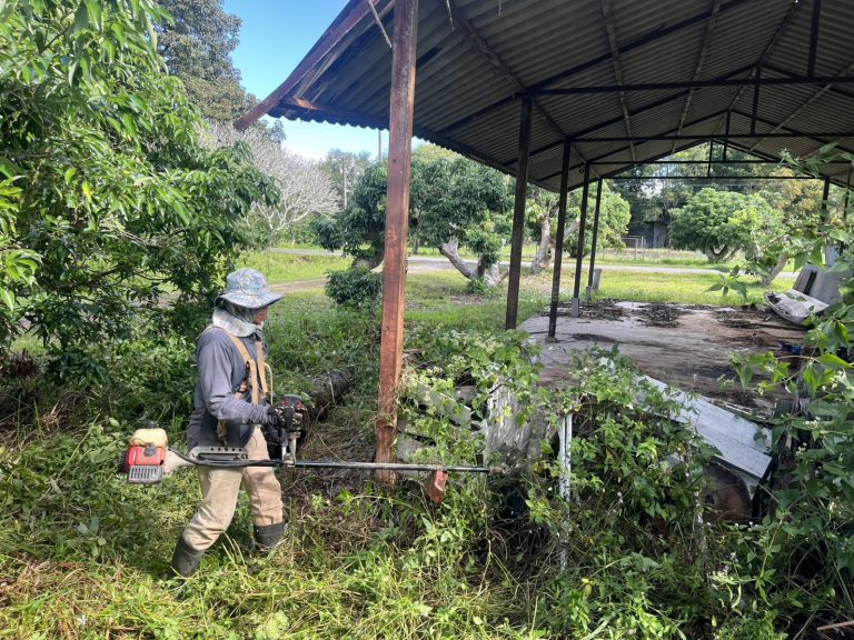 ร่วมกิจกรรมพัฒนาปรับปรุงภูมิทัศน์ โดยการตัดหญ้าและทำความสะอาด