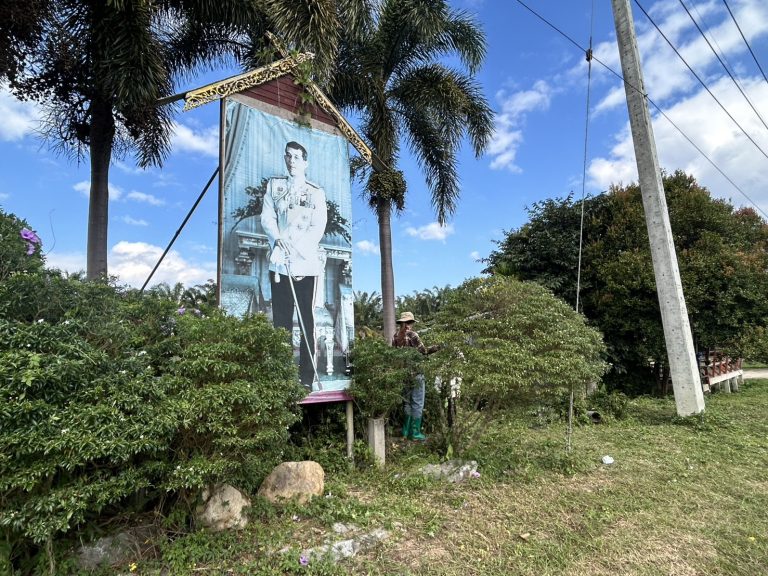 กิจกรรมพัฒนาปรับปรุงภูมิทัศน์ โดยการตัดหญ้าและทำความสะอาดบริเวณข้างถนนของหน่วยงาน