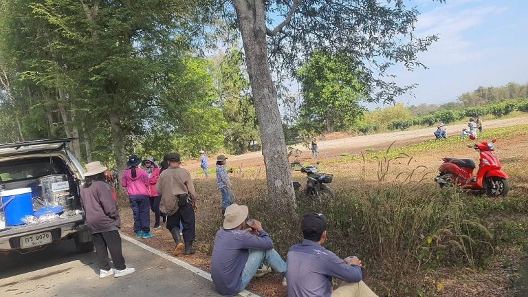 ทำความสะอาด ปรับปรุงภูมิทัศน์ และปลูกไม้ดอกไม้ประดับในหน่วยงาน