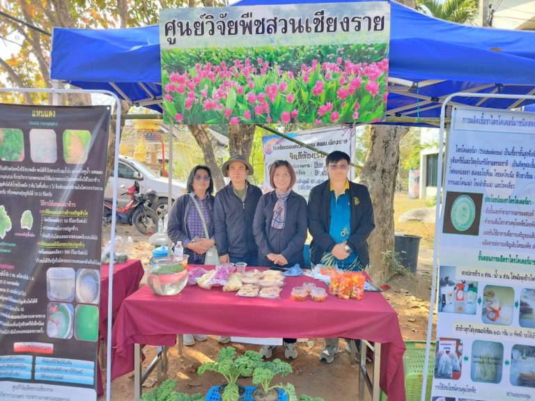 ร่วมจัดแสดงนิทรรศการ เรื่องแหนแดงและกระเจี๊ยบแดง ในงานเปิดบ้านวิชาการโรงเรียนดอนชัยวิทยาคม