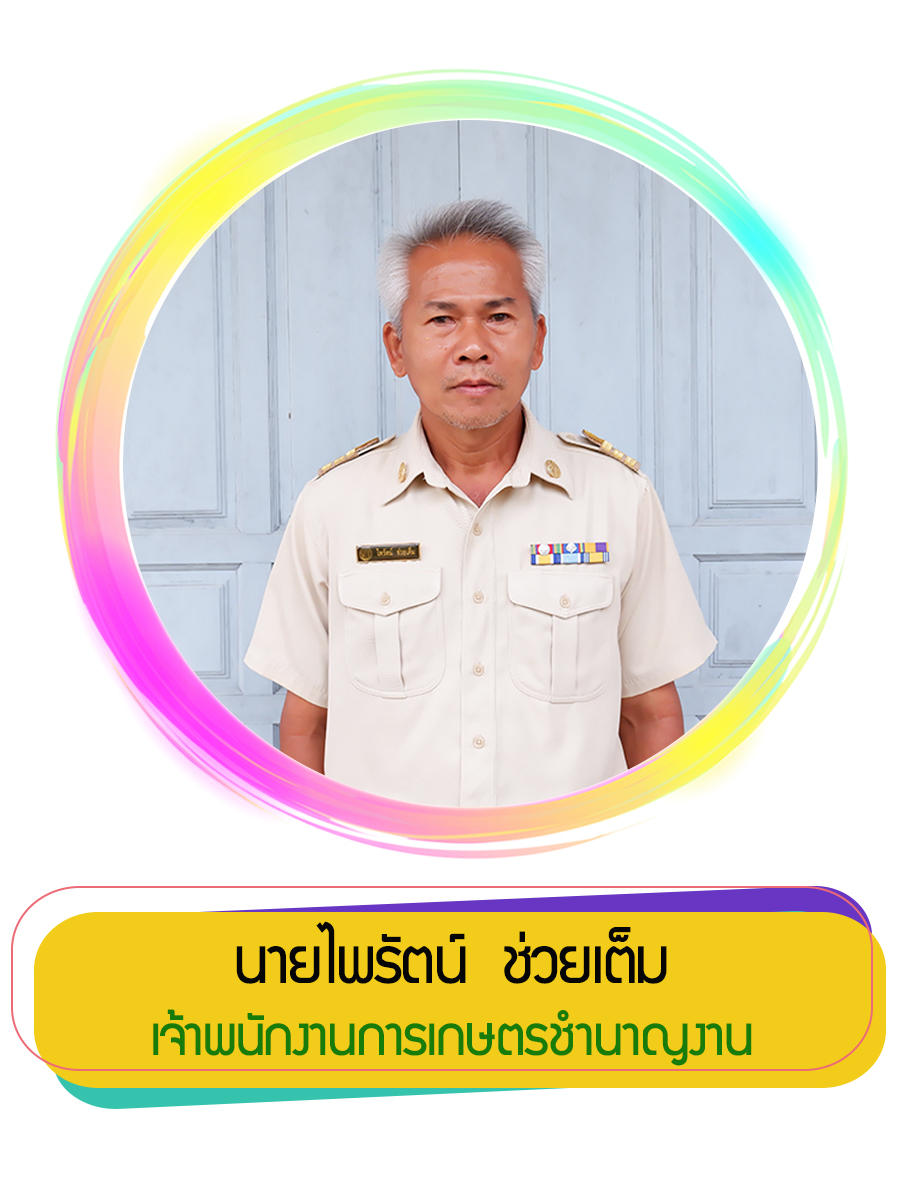 กลุ่มวิจัย – ศูนย์วิจัยพืชสวนชุมพร