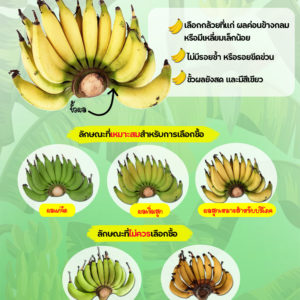 การเลือกซื้อกล้วยเล็บมือนางที่มีคุณภาพ