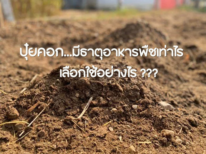 ปุ๋ยคอก…มีธาตุอาหารพืชเท่าไร เลือกใช้อย่างไร???