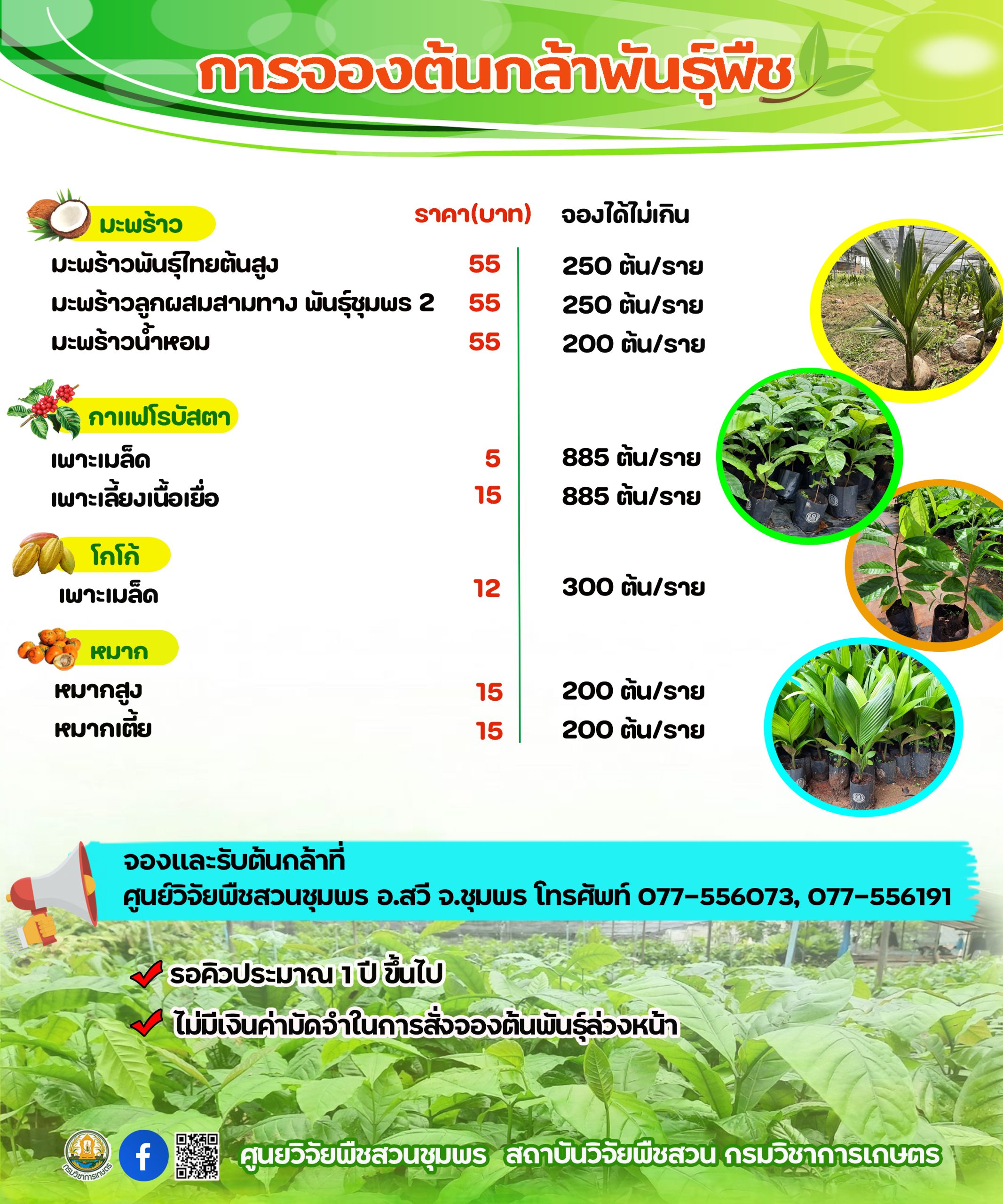 การจองต้นกล้าพันธุ์พืชศูนย์วิจัยพืชสวนชุมพร