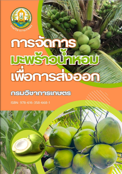 การจัดการมะพร้าวน้ำหอมเพื่อการส่งออก