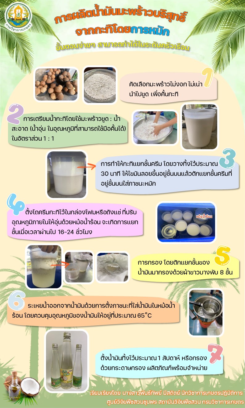 การผลิตน้ำมันมะพร้าวบริสุทธิ์จากกะทิโดยการหมัก