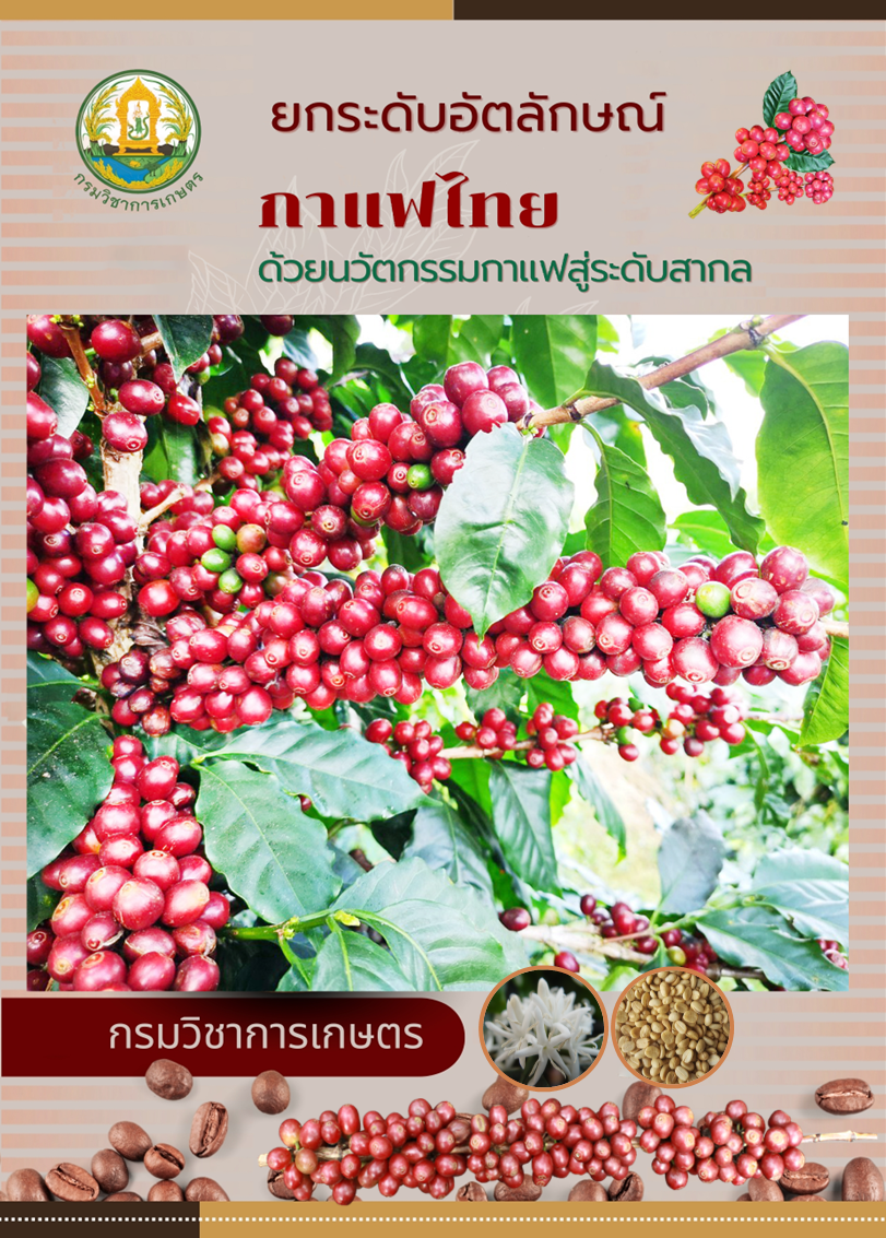 ยกระดับอัตลักษณ์กาแฟไทย ด้วยนวัตกรรมกาแฟสู่ระดับสากล