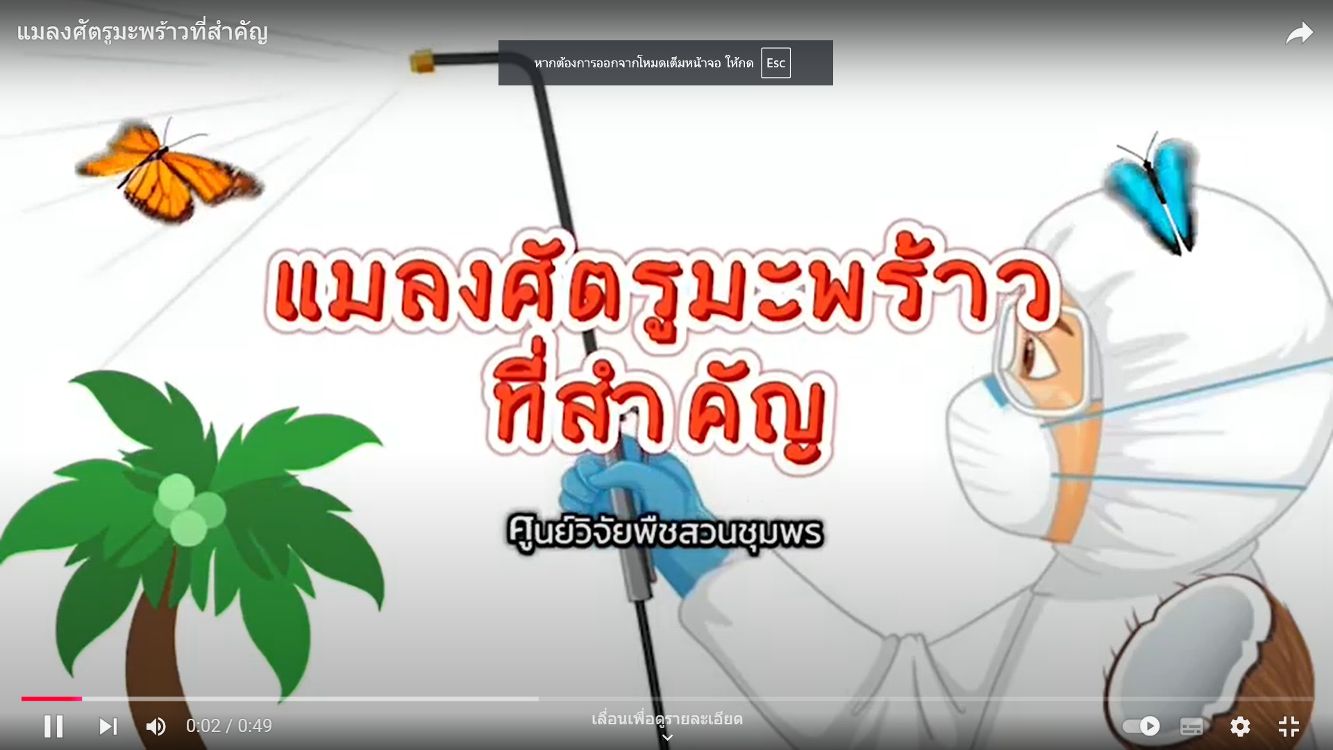 แมลงศัตรูมะพร้าวที่สำคัญ