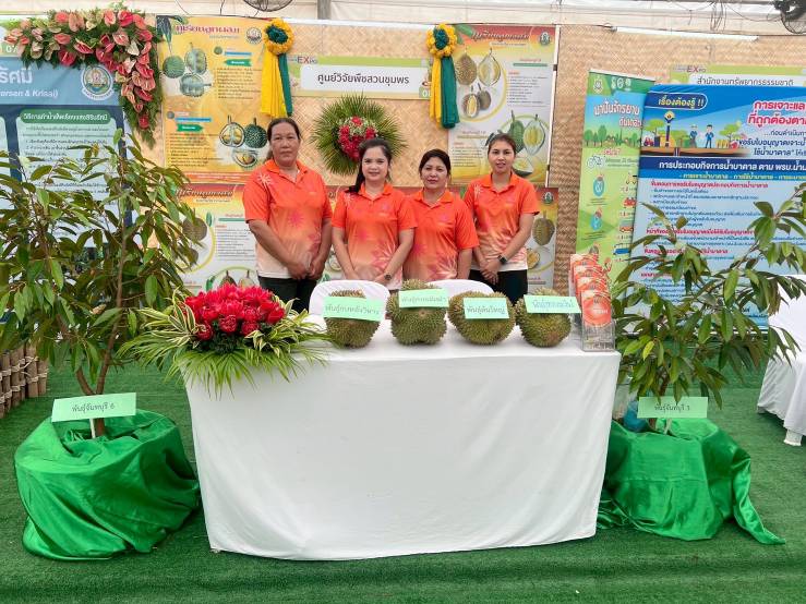 ศวส.ชุมพร ร่วมจัดนิทรรศการในงาน “มหกรรมทุเรียนคุณภาพชุมพร Chumphon Durian Expo 2025”
