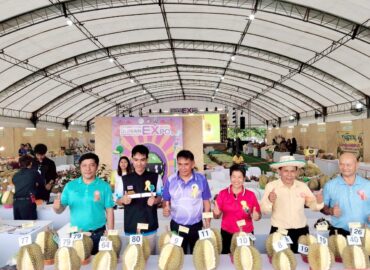 ศวส.ชุมพร ร่วมเป็นกรรมการตัดสินการประกวดพืชผลทางการเกษตร ในงาน “มหกรรมทุเรียนคุณภาพชุมพร Chumphon Durian Expo 2025”