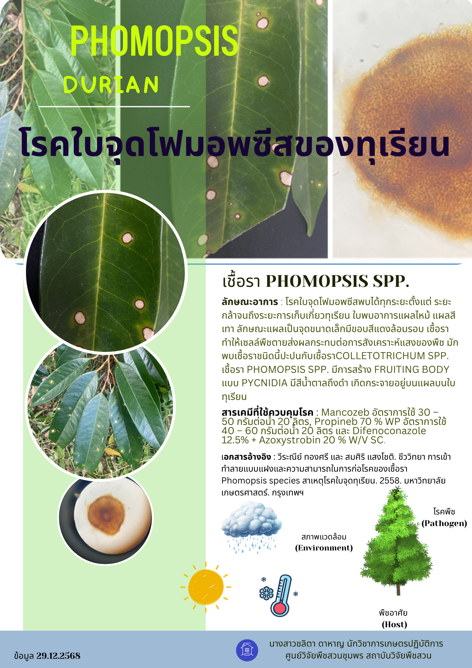 โรคใบจุดโฟมอพซีสของทุเรียน