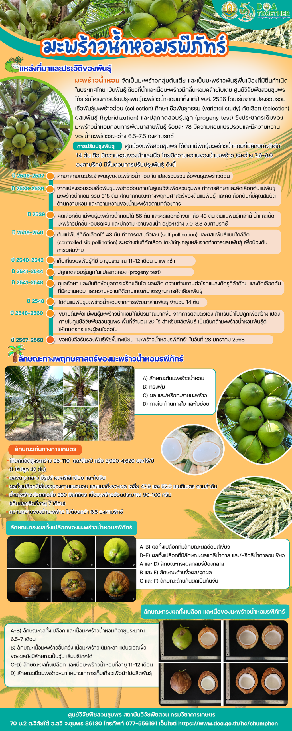 มะพร้าวน้ำหอมพันธุ์รพีภัทร์