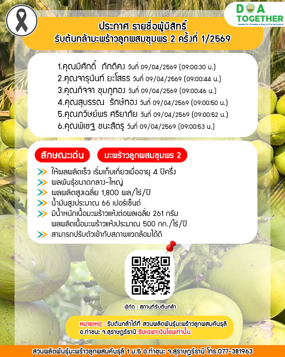 ประกาศรายชื่อผู้มีสิทธิ์รับต้นกล้ามะพร้าวลูกผสมชุมพร 2 ครั้งที่ 1/2569