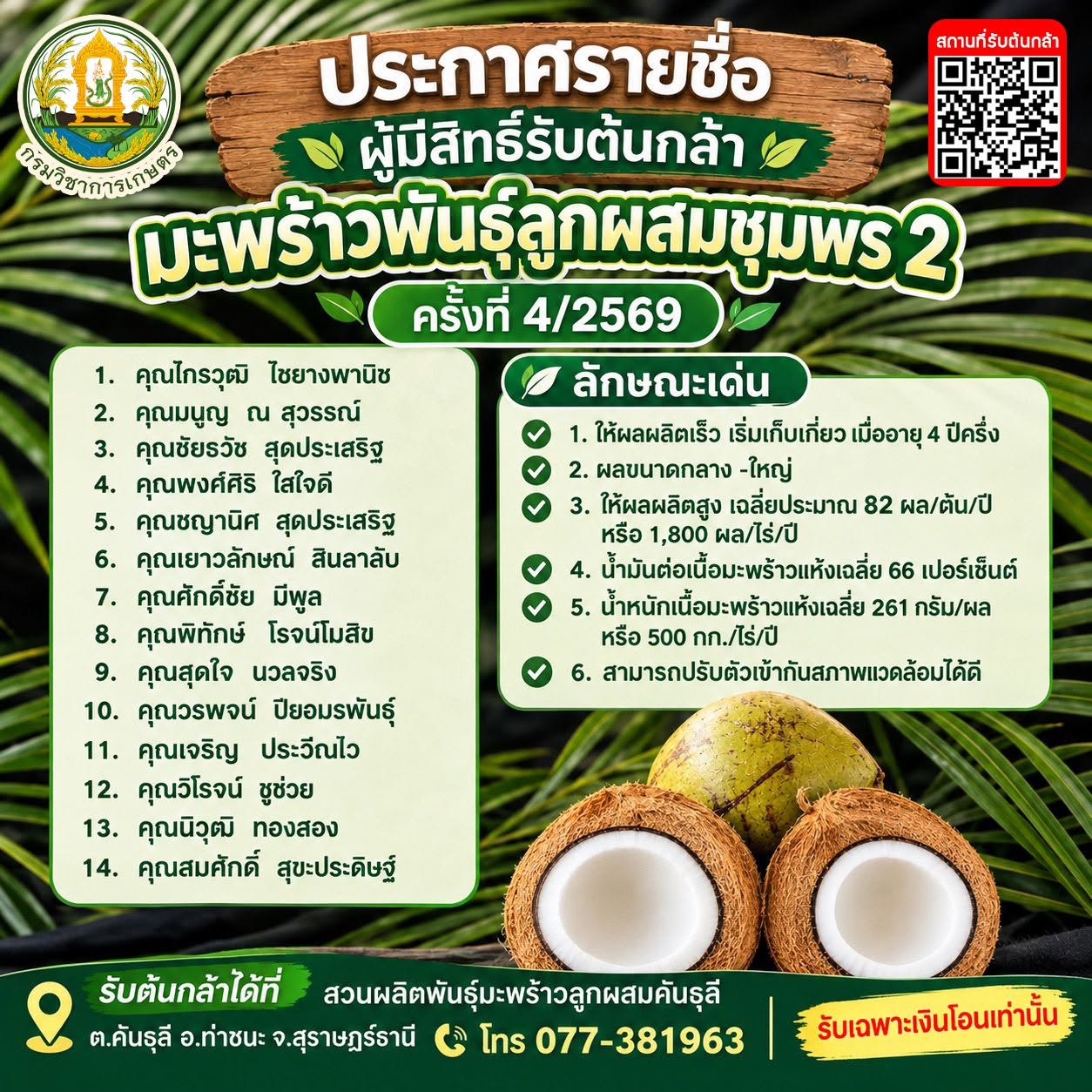 จำหน่ายต้นกล้ามะพร้าวลูกผสมพันธุ์ ชุมพร 2  ครั้งที่ 4/2569 จำนวน 3,200 ต้น