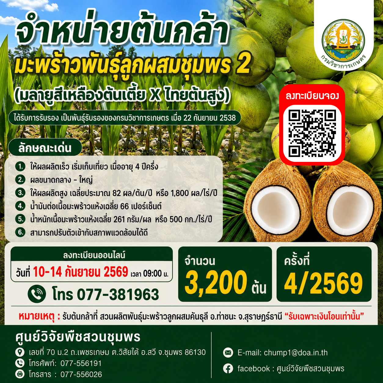 จำหน่ายต้นกล้ามะพร้าวลูกผสมพันธุ์ ชุมพร 2  ครั้งที่ 4/2569 จำนวน 3,200 ต้น