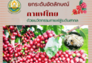 ยกระดับอัตลักษณ์กาแฟไทย ด้วยนวัตกรรมกาแฟสู่ระดับสากล